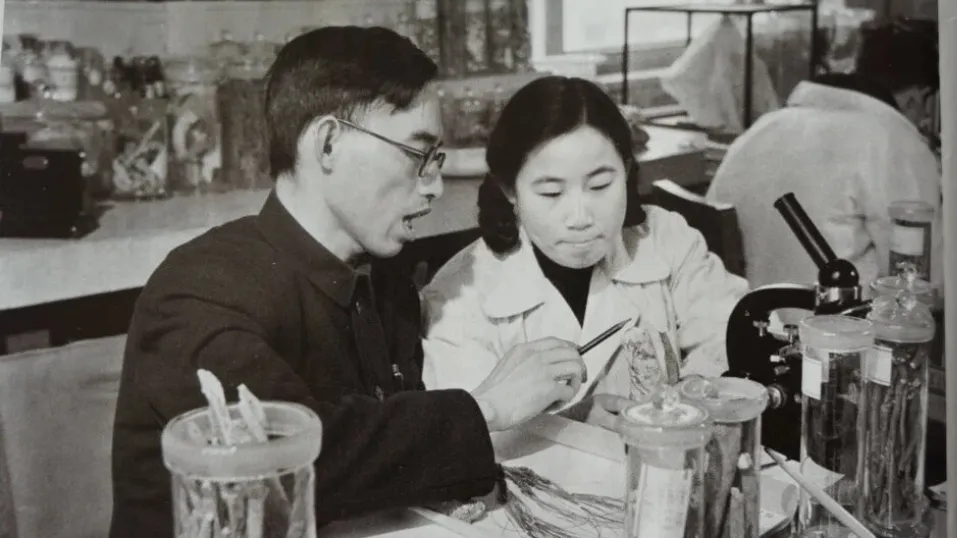 Tu Youyou ស្រ្តីជនជាតិចិនដែលបានជួយសង្គ្រោះជីវិតមនុស្សរាប់លាននាក់ពីជំងឺគ្រុនចាញ់