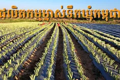 ម្នាស់ទឹកឃ - Thumbnail