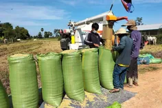 ក្រុមហ៊ុនក - Thumbnail