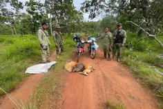 ព្រានព្រៃប - Thumbnail