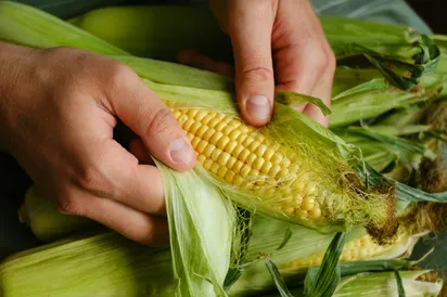 តើ ពោត ល្អចំពោះសុខភាពដែរ ឬទេ?