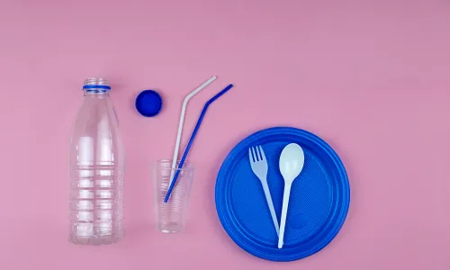 ផលប៉ះពាល់ នៃការប្រើប្រាស់ផលិតផលប្លាស្ទិក