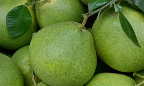 អត្ថប្រយោជន៍​សុខភាព​ទាំង ​៧​ ​របស់​ផ្លែ​ក្រូច​ថ្លុង​