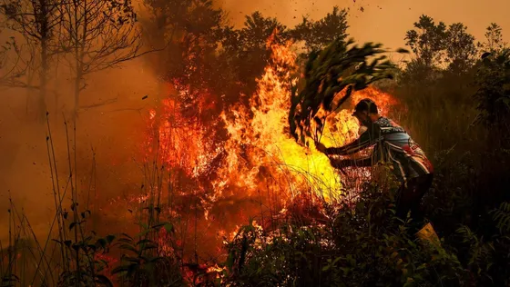 ឥណ្ឌូនេស៊ី និងសិង្ហបុរី ព្រមព្រៀងបង្កើតក្រុមការងាររួម ដើម្បីចាត់ការក្រុមហ៊ុនបង្កភ្លើងឆេះព្រៃប៉ះពាល់សុខភាពប្រជាជន - AMS Article Thumbnail
