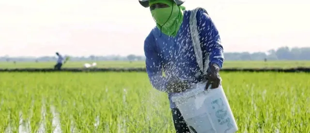 ជីកសិកម្មឡើងថ្លៃស្របពេលវិបត្តិប្រេងឥន្ទនៈកំពុងមានសម្ពាធ - AMS Article Thumbnail