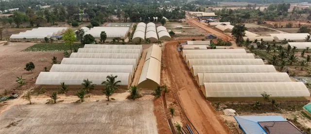 សហគមន៍កសិកម្មទំនើបកើនឡើងដល់ ៣១ ជាមួយកិច្ចសន្យាផលិតកម្មមានតម្លៃជាង៤០លានដុល្លារ - AMS Article Thumbnail