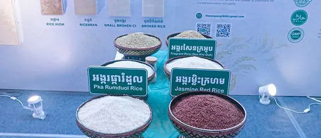 កម្ពុជា​រក​ចំណូល​បាន​ជាង ​​១០០ លាន​ដុល្លារ ពី​ការ​នាំចេញ​អង្ករ​ទៅ​ទីផ្សារ​ចិន - AMS Article Thumbnail