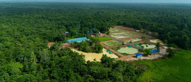 សហគមន៍​ព្រៃឈើ​ត្រពាំង​ពិការ ​ផ្ដល់​អត្ថប្រយោជន៍​ដល់​ពលរដ្ឋ​ជាង​ ៤០០ ​​គ្រួសារ​នៅ​រមាស​ហែក​ - AMS Article Thumbnail