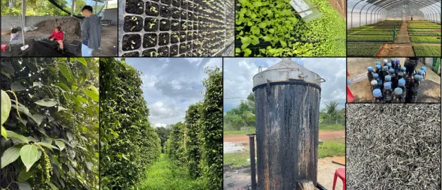 ការ​សិក្សា​ បង្ហាញថា​ សហគមន៍​កសិកម្ម​ទំនើប​ជួយ​បង្កើន​ប្រាក់​ចំណេញ​ ប៉ុន្តែ​នៅ​ខ្វះ​ទុន - AMS Article Thumbnail