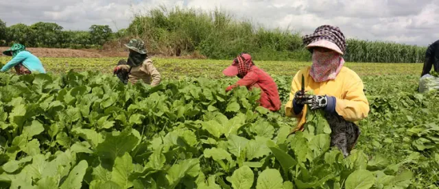 ​ADB ផ្ដល់​​កញ្ចប់ថវិកា​៧២លានដុល្លារដល់កម្ពុជា​​​ ដើម្បីអភិវឌ្ឍន៍​សេដ្ឋកិច្ចកសិករខ្នាតតូចនៅតាមជន​បទ - AMS Article Thumbnail