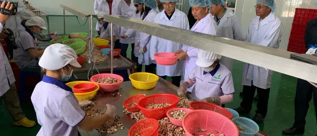 ជីប​ម៉ុង ​ត្រៀម​បង្កើន​ហិរញ្ញប្បទាន​ស្វាយចន្ទី​ដល់​ ៧០០ ​លាន​ដុល្លារ ​នៅ​ឆ្នាំ​ ​២០២៧ - AMS Article Thumbnail
