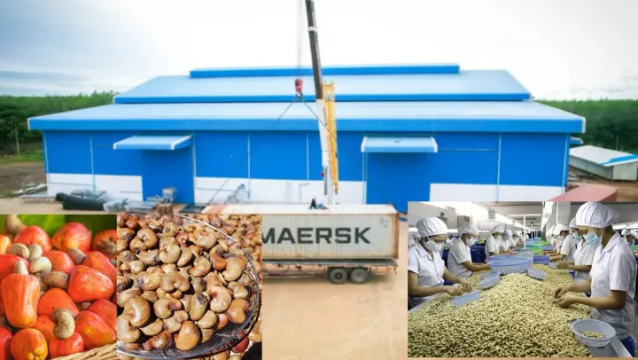 ការវិនិយោគលើរោងចក្រកែច្នៃ គឺជា...