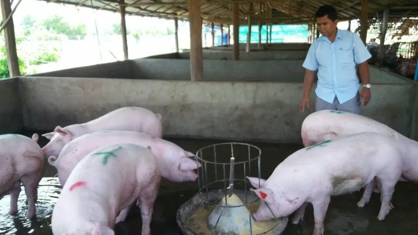 កម្ពុជាមានសមត្ថភាពគ្រប់គ្រាន់ក...