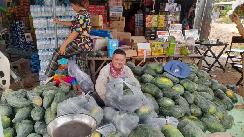 ដំណាំឪឡឹក ងាយស្រួលដាំ ចំណាយតិច...