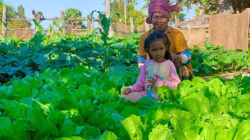 ច្នៃដីទំនេរនៅក្បែរផ្ទះដាំដំណាំ...