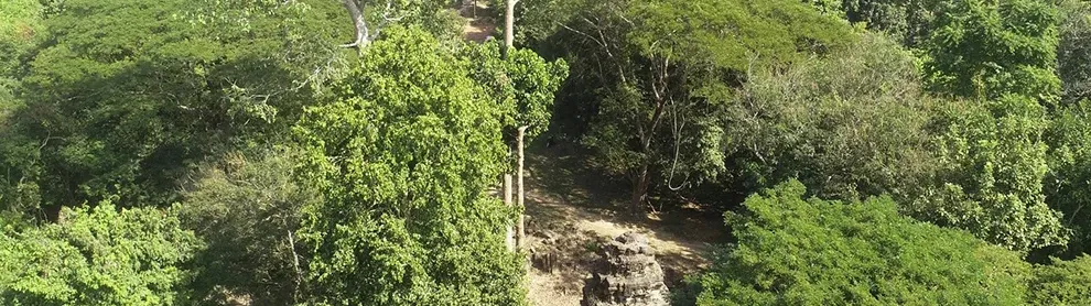 Image for article: ប្រាសាទទន្លេស្ងួត ធ្លាប់ជាមណ្ឌលព្យាបាលអ្នកជំងឺនៅតំបន់ខាងជើងអង្គរ នាសម័យបុរាណ