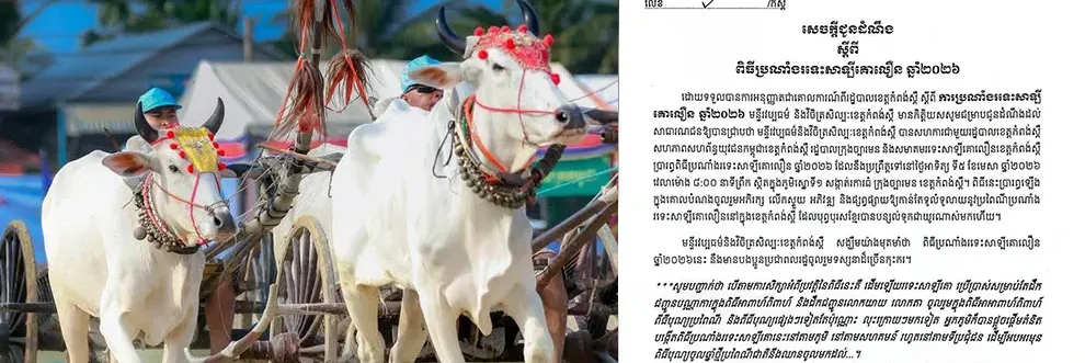 ល្អខ្លាំងណាស់! កំពង់ស្ពឺ រៀបចំពិធីប្រណាំងរទេះសាឡីគោលឿន ព្រោះជាប្រពៃណីបុរាណ និងមិនចង់ឱ្យបាត់បង់ - Main Article Image