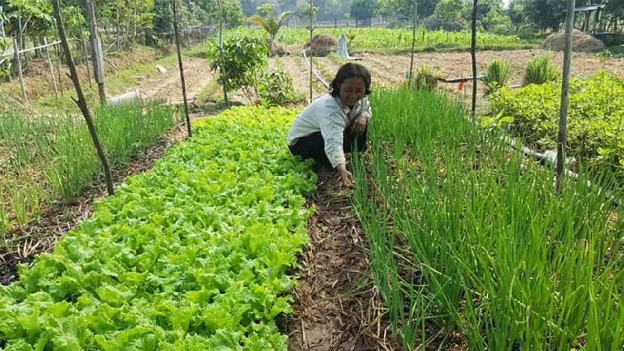 កសិករគួរផ្លាស់ប្តូរផ្នត់គំនិតក...