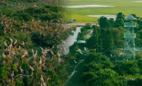ទួលព័ន្ធតាឡី- បឹងស្នេហ៍ តំបន់ទេសចរណ៍សត្វស្លាបដ៏មានសក្តានុពលក្នុងខេត្តព្រៃវែង
