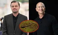 Leonardo DiCaprio និង Jeff Bezos ប្តេជ្ញាផ្តល់ប្រាក់ ២០០ លានដុល្លារ ដើម្បីជួយសត្វជិតផុតពូជ ១០០ ប្រភេទ