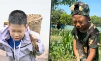 ឪពុកម្ដាយនៅប្រទេសចិនបញ្ជូនកូនៗទៅជំរំធ្វើការងារស្រែចម្ការ ដើម្បីបានភ្លក់រសជាតិជីវិតពិត និងស្គាល់តម្លៃគ្រួសារ