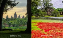 ទៅ​លេងសៀមរាប​កុំ​ភ្លេច​ឆៀង​ចូល​ផ្ដិត​រូប​ស្អាតៗនៅ​កន្លែង​កំពុង Trend