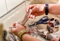 ធ្វើម្ហូបហើយ មានក្លិនឆ្អាបជាប់ដៃ ងាករករបស់ ៦យ៉ាងនេះក្នុងផ្ទះ ជួយបំបាត់ក្លិនឆ្អាបអស់ សល់តែក្លិនក្រអូប