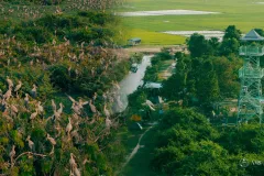 ទួលព័ន្ធតាឡី- បឹងស្នេហ៍ តំបន់ទេសចរណ៍សត្វស្លាបដ៏មានសក្តានុពលក្នុងខេត្តព្រៃវែង - Article