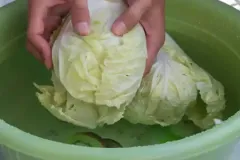 របៀបលាងស្អាតស្ពៃក្តោបឲ្យបានត្រឹមត្រូវ ញ៉ាំទៅមិនភ័យខ្លាចមានគ្រោះថ្នាក់ ឬប៉ះពាល់សុខភាព - Article
