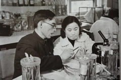 Tu Youyou ស្រ្តីជនជាតិចិនដែលបានជួយសង្គ្រោះជីវិតមនុស្សរាប់លាននាក់ពីជំងឺគ្រុនចាញ់ - Article