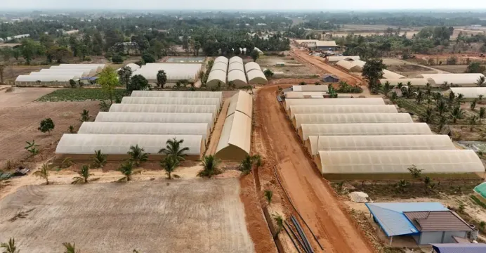 សហគមន៍កសិកម្មទំនើបកើនឡើងដល់ ៣១...