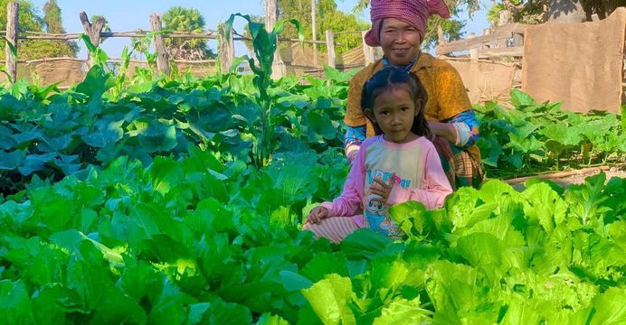ច្នៃដីទំនេរនៅក្បែរផ្ទះដាំដំណាំ...