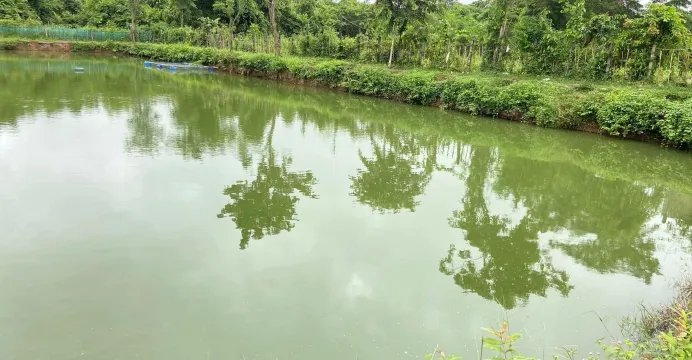 អ្នកជំនាញ ៖ កសិករគួរជីកស្រះក្ប...