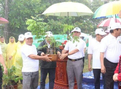 ឯកឧត្តម ថង សាវុន អញ្ចើញចូលរួមដាំកូនឈើ ក្នុងពិធីបុណ្យរុក្ខទិវា នៅបរិវេណមជ្ឈមណ្ឌលវប្បធម៌ជនជាតិដើមភាគតិច ភ្នំដោះក្រមុំ