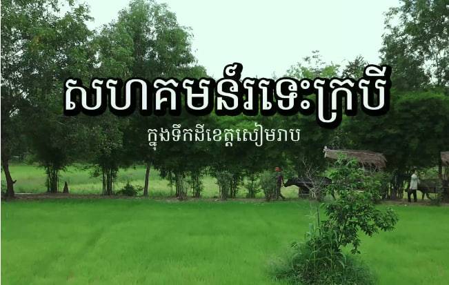 សហគមន៍រទេះក្របី ខេត្តសៀមរាប