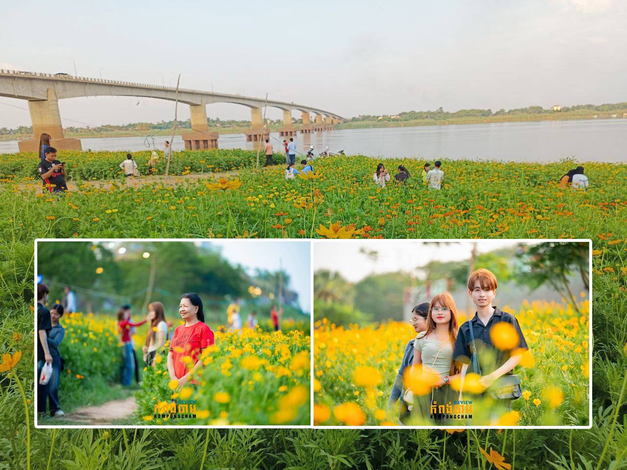 ចម្ការផ្កាស្បៃរឿងរបស់រដ្ឋបាលខេត្តកំពង់ចាម នៅតែទាក់ទាញ​បេះដូងអ្នក​ស្រឡាញ់រូបថត